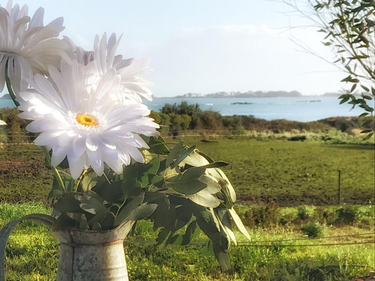 Le Petit Gite Cosy De Kerigou Avec Vue Mer Et Plage Saint-Pol-de-Léon Exteriér fotografie